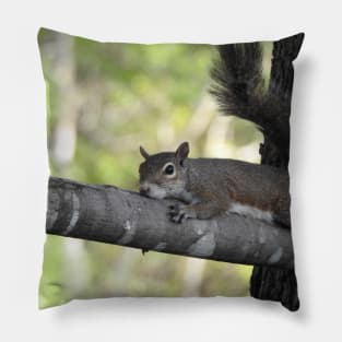 Eastern Gray Squirrel Pillow