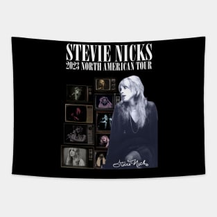 Stevie Nicks Vintage Rock Music 2023 Tour Live in Concert Tapestry