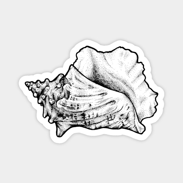 Conch Shell Magnet by Elizabeth Weglein Art