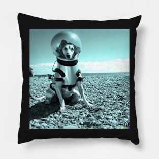 Space Dog #14 Pillow