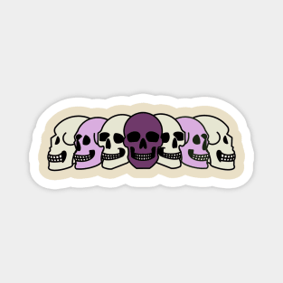 Pride Skulls Queer Magnet