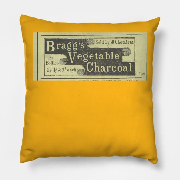 Bragg's vegetable charcoal Pillow by howaboutthat