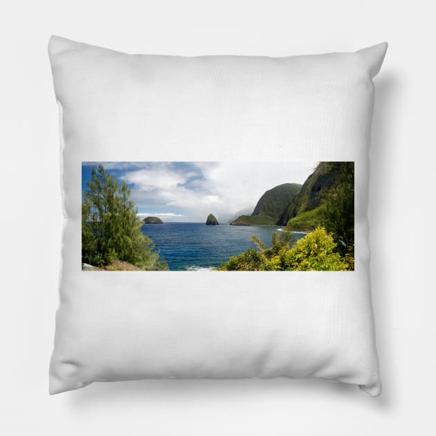 Kalaupapa Panorama 2 Pillow by wgcosby