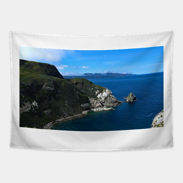 Channel Islands National Park Santa Cruz Island Tapestry by supernova23