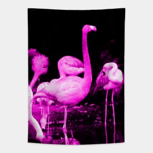 Hot Pink Flamingos Tapestry