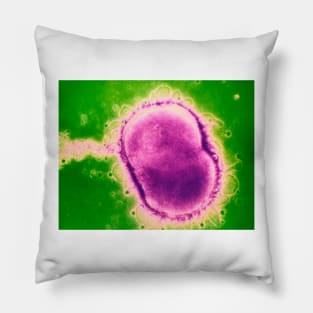 Neisseria meningitidis bacterium (B220/0582) Pillow