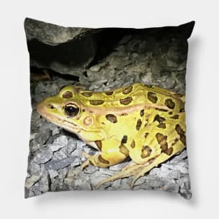 Frog Unit Pillow