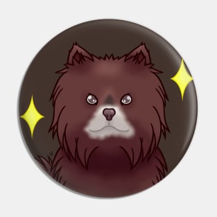 Chocolate pomeranian Pin