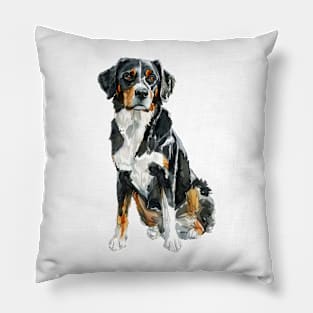 Appenzeller Sennenhund Pillow