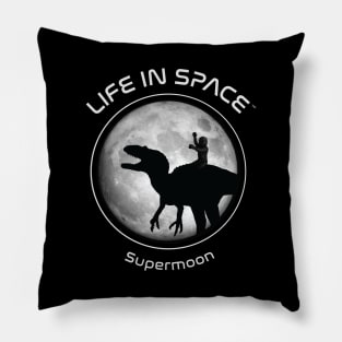 Life in Space: Supermoon Pillow