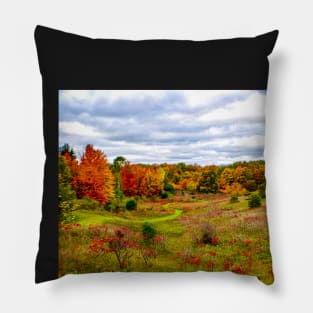 "Autumn Valley" Pillow