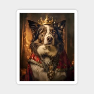 Border Collie The King Magnet