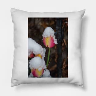 April Snow and Tulips Pillow