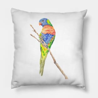 Rainbow Lorikeet painting Pillow