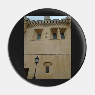 Architectural Detail of The Great Hall, Stirling Castle Pin