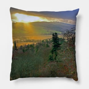 Winter Light Pillow