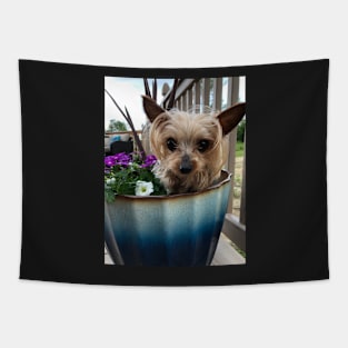 Ella Miniature Yorkshire Terrier :: Canines and Felines Tapestry