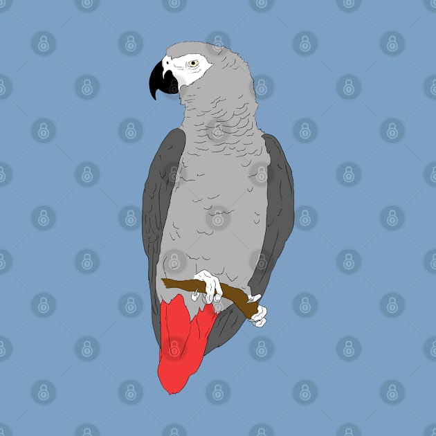 African Grey Parrot on Perch by Einstein Parrot