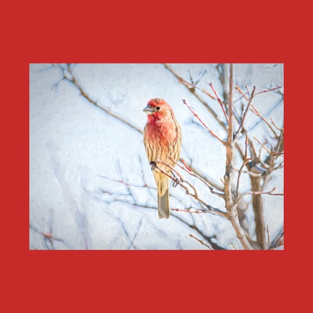 Backyard House Finch Painterly by Debra Martz