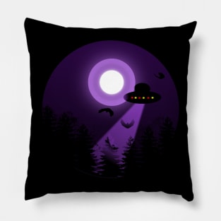 investigation Pillow