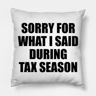 Sorry for what i said during tax season Pillow