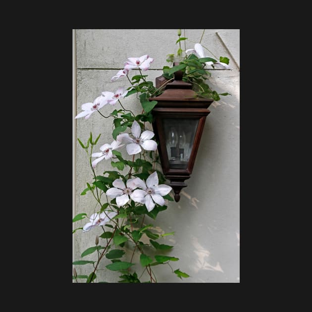 Climbing Clematis by EileenMcVey