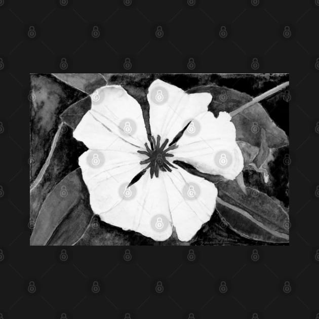 Ode To Georgia 3 - Clematis, in Black & White by ConniSchaf