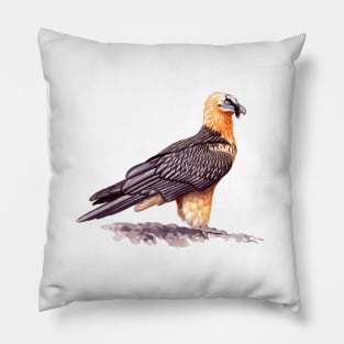 Bearded Vulture Pillow