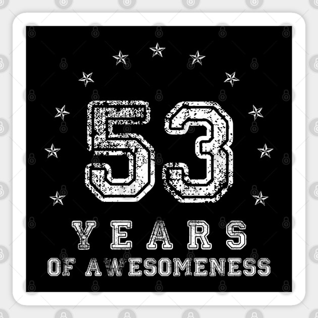 Made In 1966 Vintage T-Shirt 53rd Birthday 53 Years Old Made In 1966 Vintage T-Shirt 53rd Birthday 53 Years Old