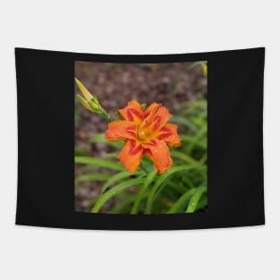 Orange Lily and Bud Photographic Image Tapestry