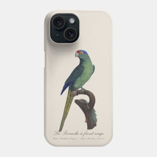 La Perruche a Front Rouge Parakeet - Jacques Barraband 19th century Illustration Phone Case