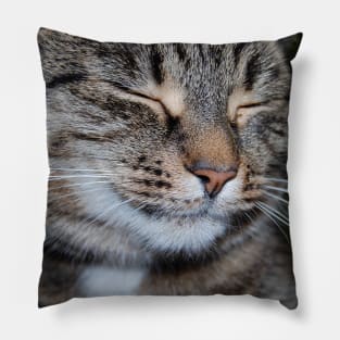 smiling cat Pillow