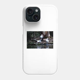 Call That A Take Off! Phone Case