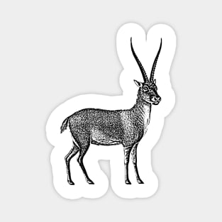 Antelope. Magnet