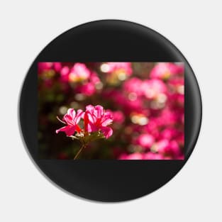 Pink Azalea Flowers Pin