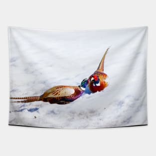 Ring-necked pheasants fighting Tapestry