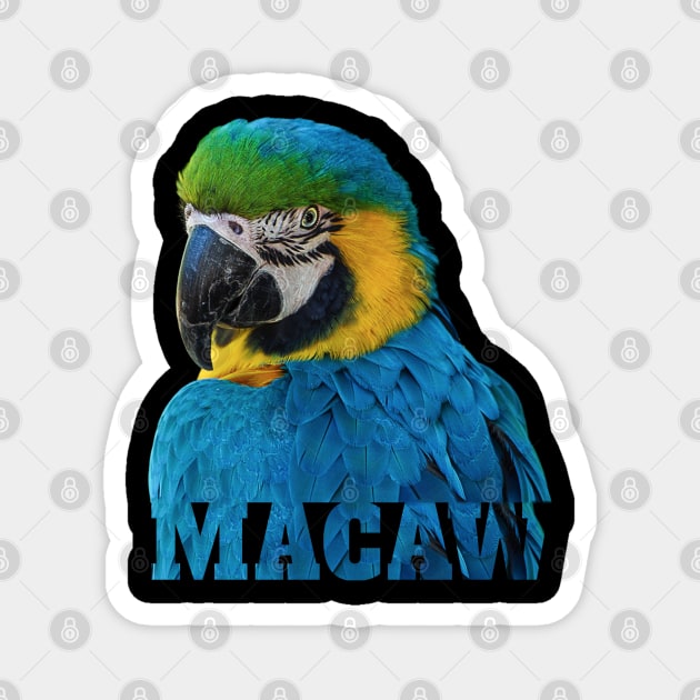 Beautiful Blue and Gold Macaw Parrot Image and Word Magnet by Einstein Parrot