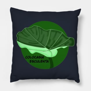 Colocasia esculenta Pillow