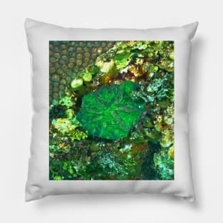 Green Artichoke Coral Anemone Pillow