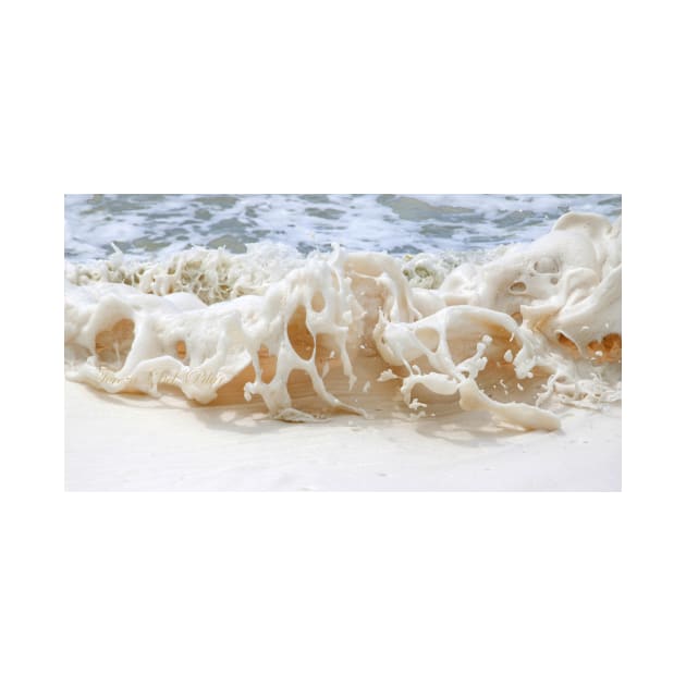 sea foam. by terezadelpilar