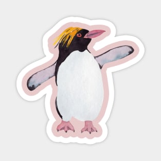 Macaroni Penguin Magnet