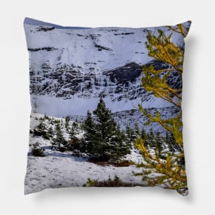 Ptarmigan Cirque. Pillow