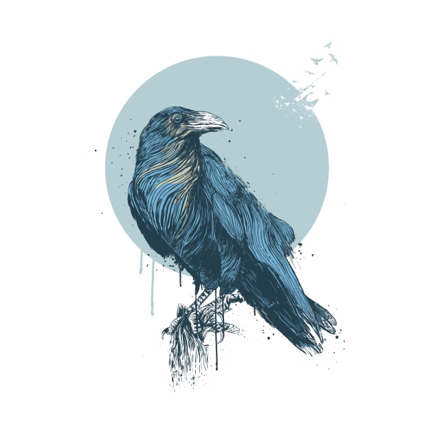 Blue crow by soltib