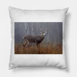 Buck - White-tailed Deer Pillow