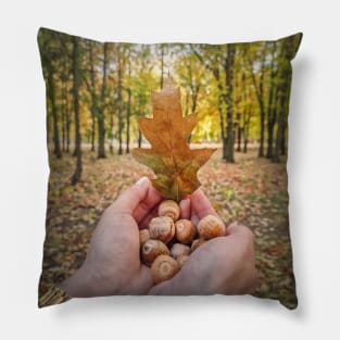 autumn walk in the oak forest Pillow