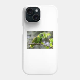 Green-naped Parrot - Costa Rica Phone Case