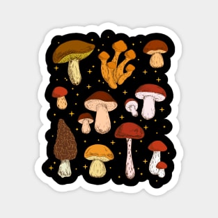 Mushrooms and Stars, Collection Wonderful World of Fungi Magnet