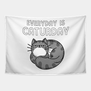 Everyday Is Caturday - Angry Cat Face Tapestry