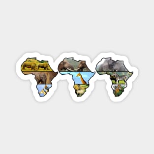 African Wildlife Continent Collage Trio Magnet