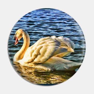 Swan wading on water in sunshine Pin